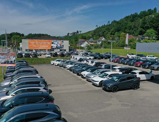 Lagerfahrzeuge