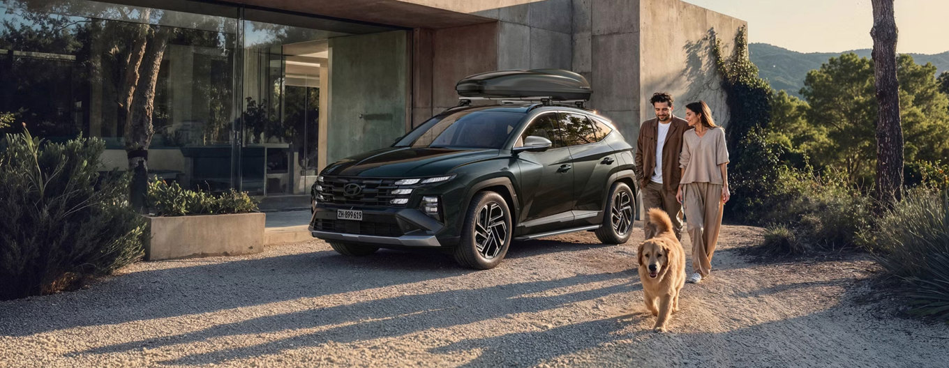Hyundai Sommercheck