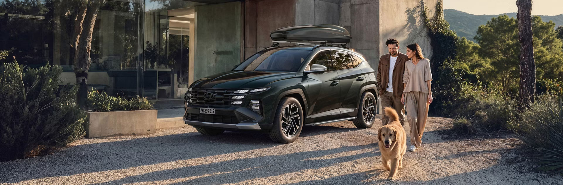 Hyundai Sommercheck