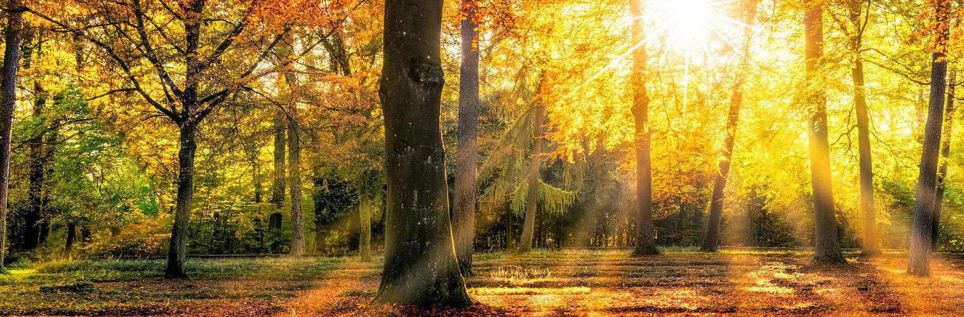 Öffnungszeiten Allerheiligen 2025