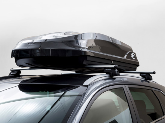 Dachbox